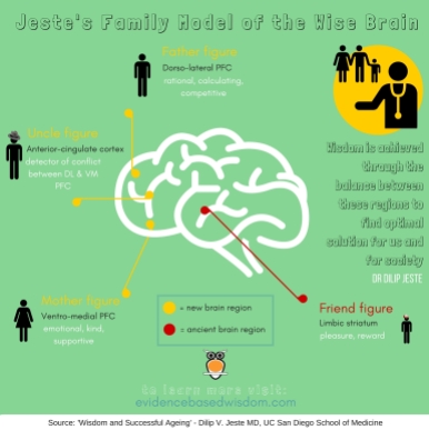 Jeste's Family Model of the Brain